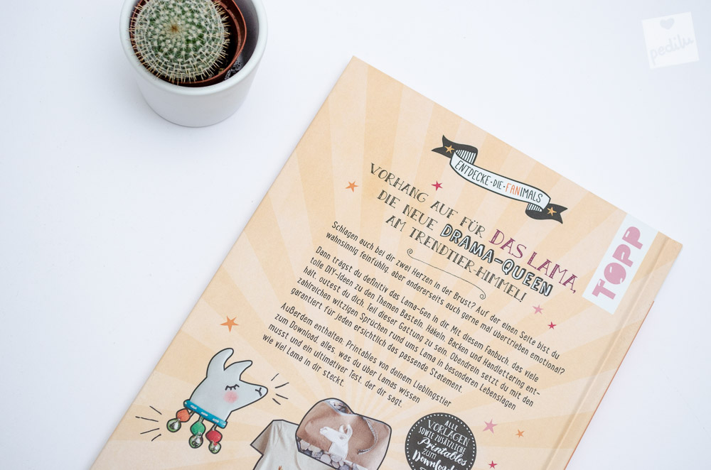 7 Lama-Ideen zum Verlieben – Bastelbuch